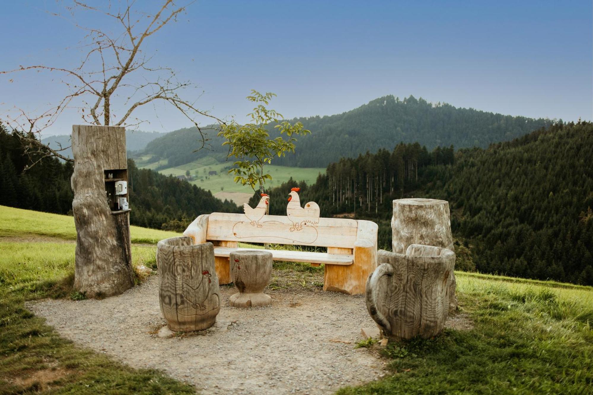 Landhotel Gasthaus Zum Pflug Zell am Harmersbach Zewnętrze zdjęcie